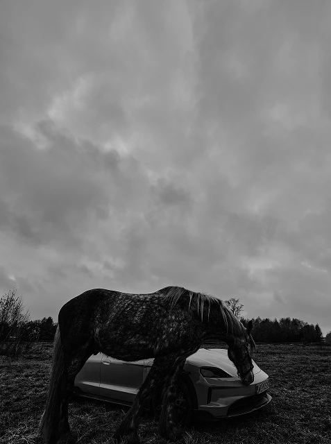 Porsche Store Warszawa