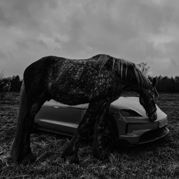 Fotoreportaż Porsche Store Warszawa - Stolica Marzycieli